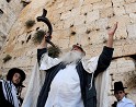 פרשת וילך- שבת שובה