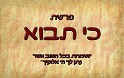 ארור אשר לא יקים את דברי התורה הזאת